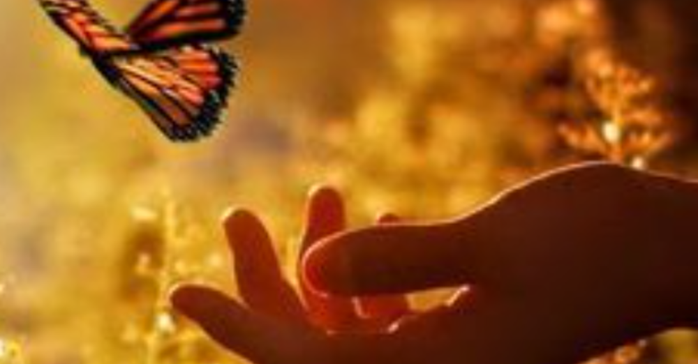 Cultivating a Gentle Spirit 