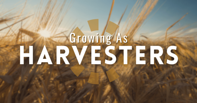 Growing As Harvesters