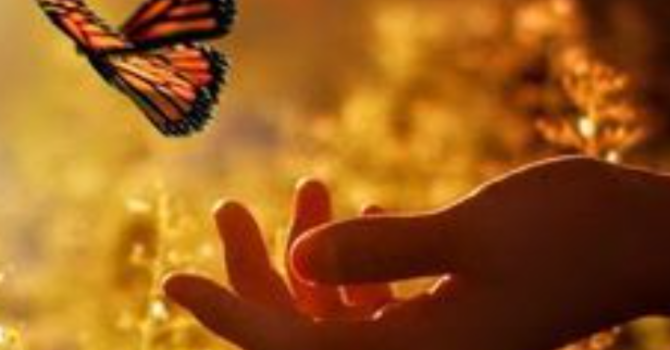 Cultivating a Gentle Spirit 