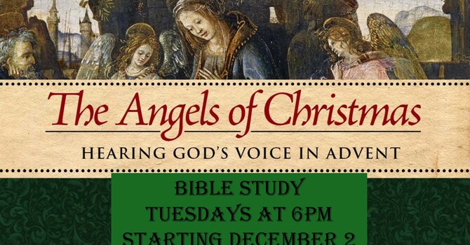 Advent Book Study