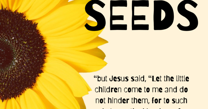 SEEDS Kids Church