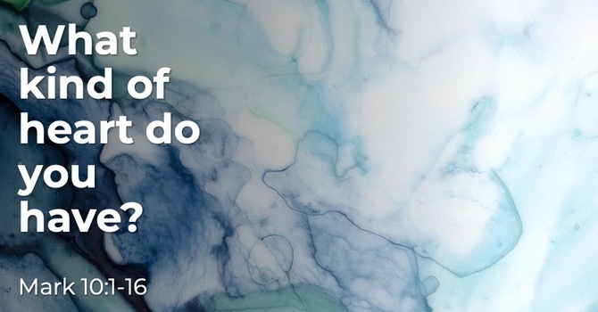 What Kind Of Heart Do You Have?