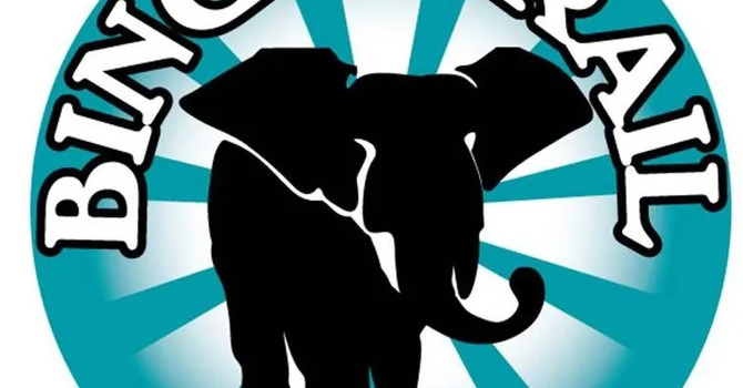 Supporting the Bingo Trail image