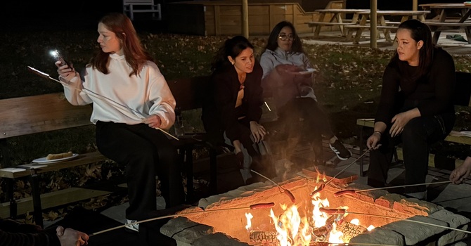 Young Adult's Campfire image