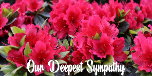 to Brad & Linda Chalmers on the death of Brad's dad, Thomas Chalmers on November 2nd