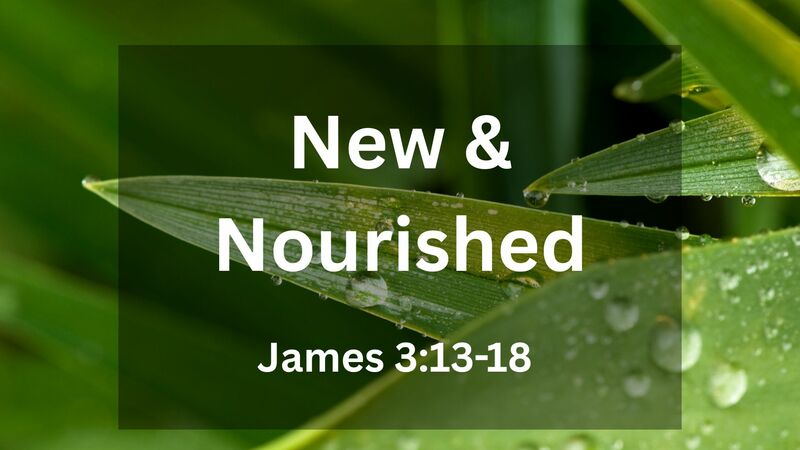 New and Nourished