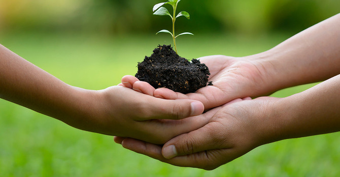 Allow Hope to Grow Holiness