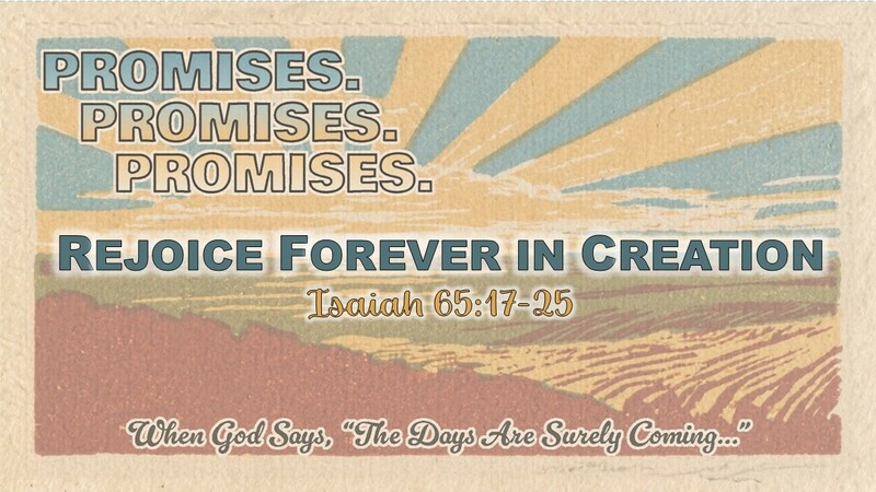 Rejoice Forever in Creation