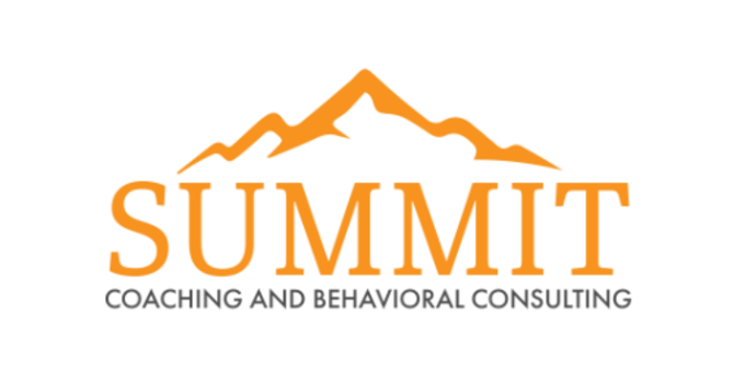 Team Coaching Training, Part 2