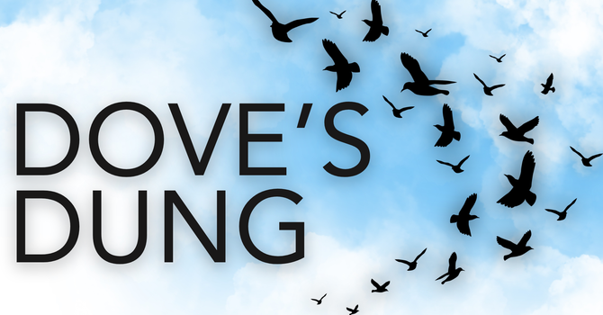 Dove's Dung