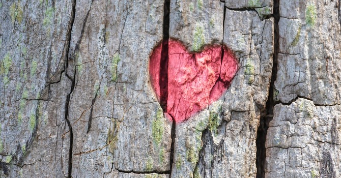 Love First, Ask Questions Later image