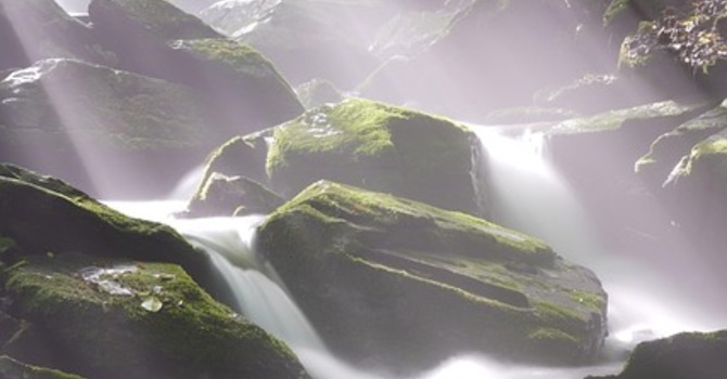 November 20, 2025 Devotion image