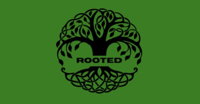Rooted: Children's Ministry