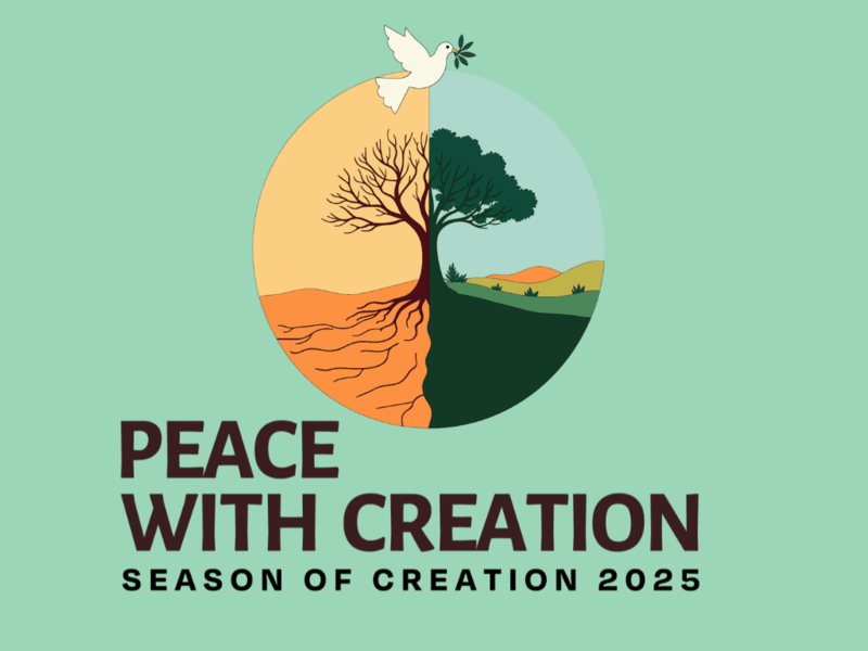Season Of Creation IV