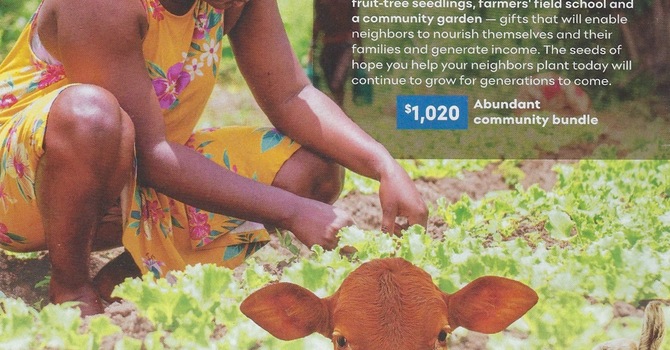 Cradle of Hope: Near and Far image