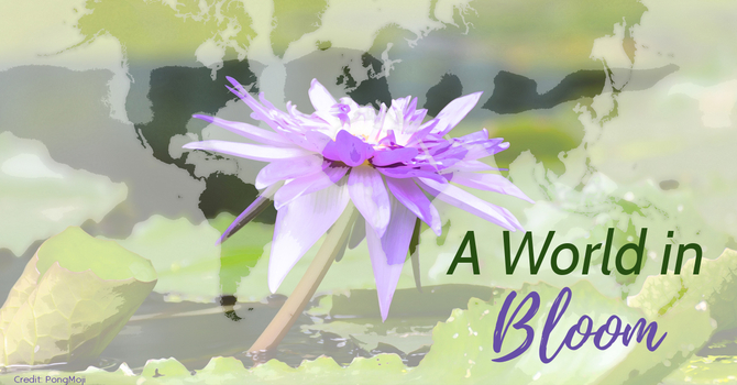 Worship with Westminster