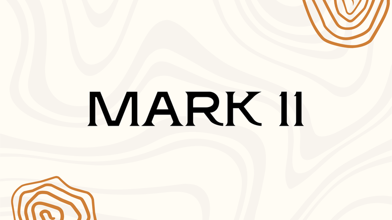 Mark Chapter 11