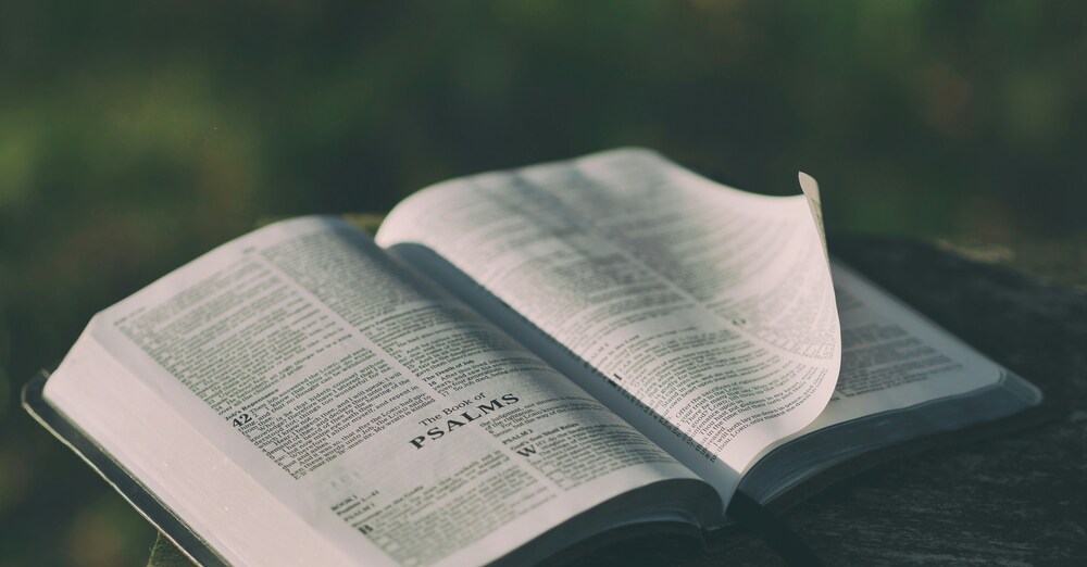 Meditating On The Psalms