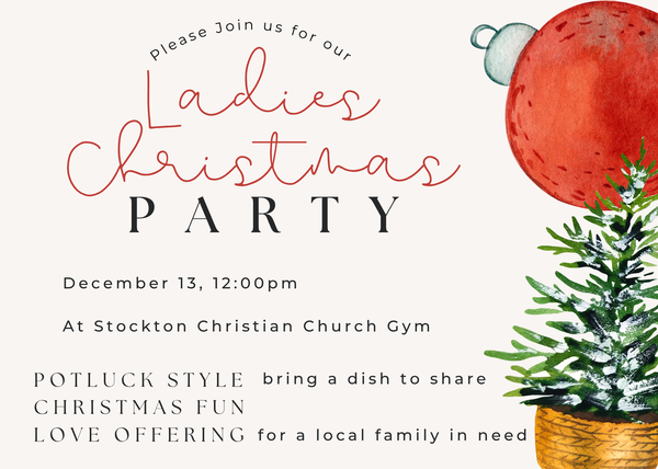 Ladies Christmas Party