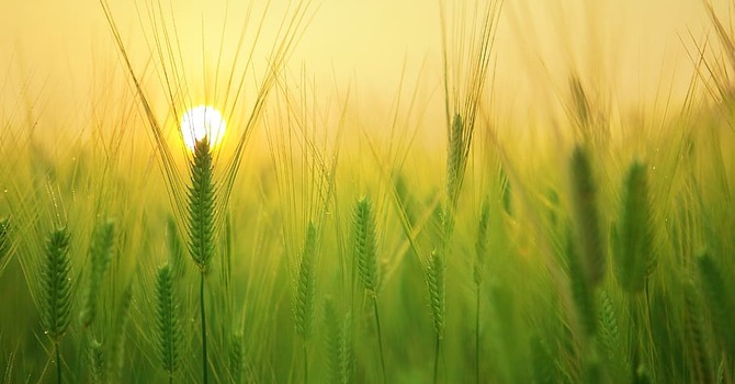 Worship Service-November 16, 2025 image