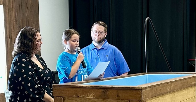 Into the Mystery... image