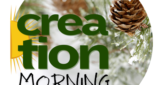 Creation Morning