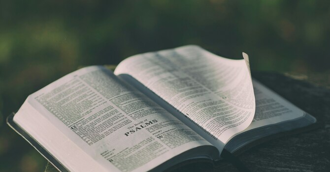 Meditating On The Psalms