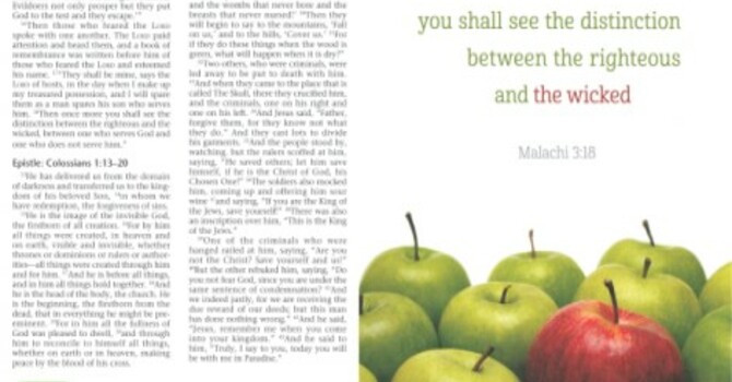 Last Sunday of the Church Year Bulletin - Website image