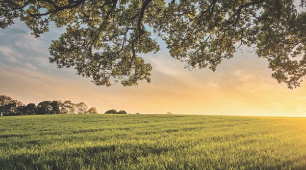 Congratulations to Hopefield! 