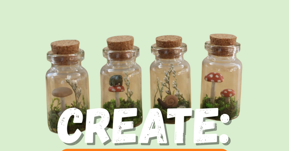 Create (Engage & Equip)