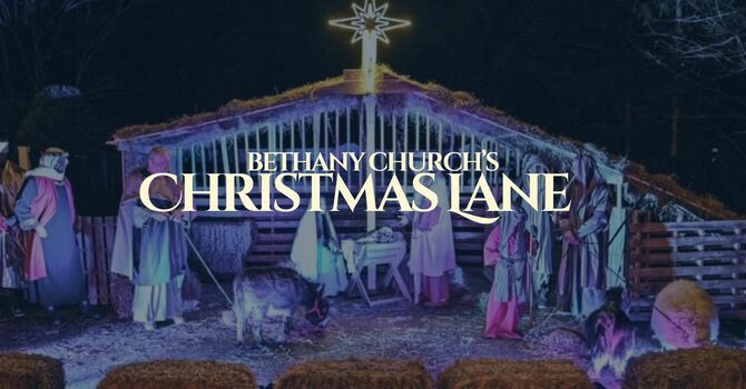 Bethany's Christmas Lane!