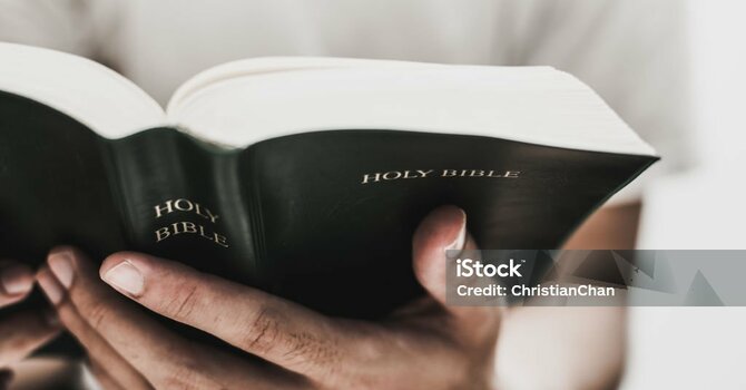 Readings - November 23, 2025 image