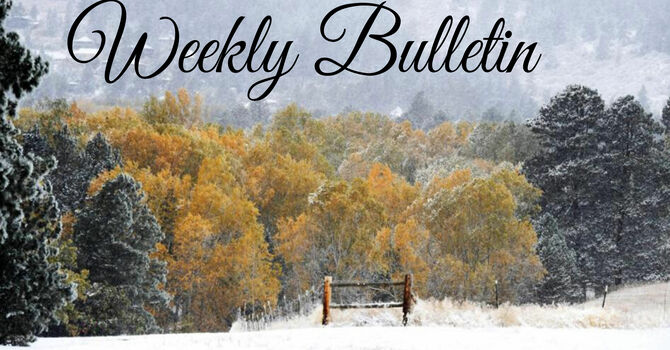 Bulletin for November 22 and 23