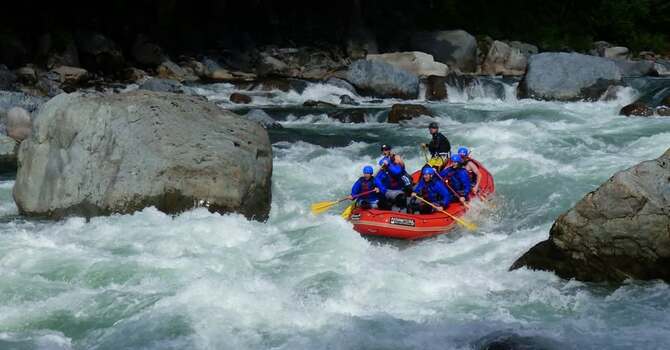 Looking for what to do?