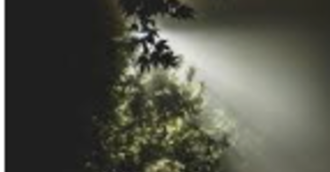 Light in the Shadows Service