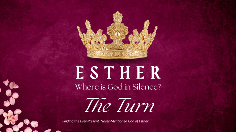 Sunday Service, 23rd November 2025 - The Turn