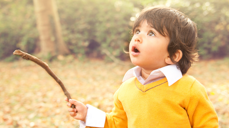 Life at The Speed of Awe