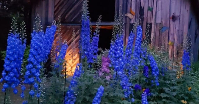 Let's Go Swimming In The Gratitude Pool!