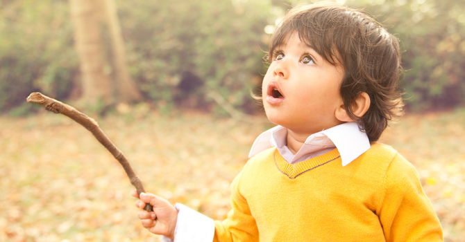 Life at The Speed of Awe