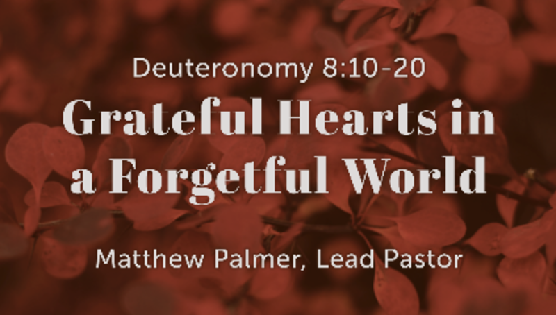 Grateful Hearts in a Forgetful World