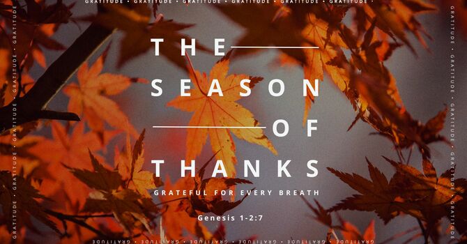 The Season of Thanks: Grateful for Every Breath
