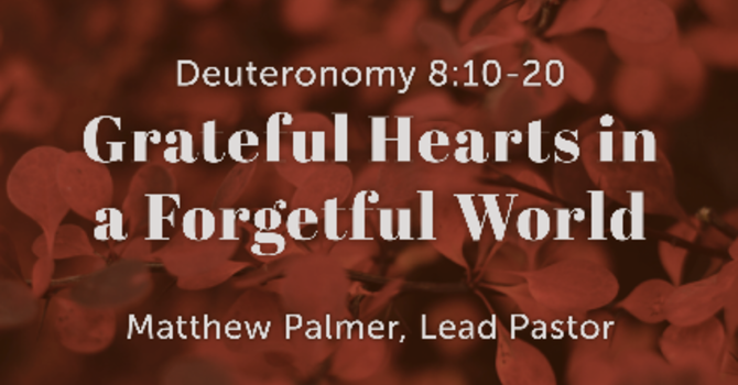 Grateful Hearts in a Forgetful World
