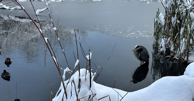 THANKS TO COLOURS - A PRAYER image