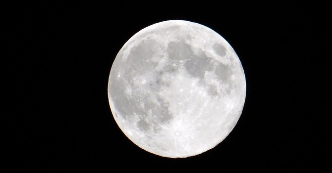 November 24, 2025 Devotion image