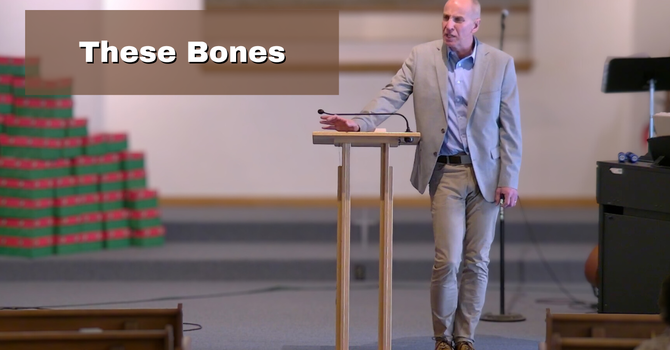 These Bones