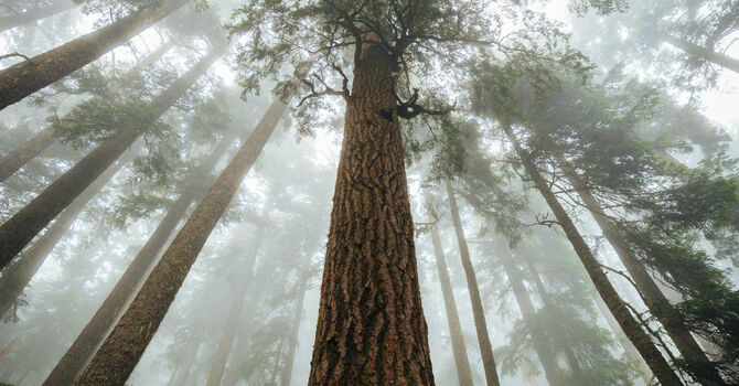 Prayers & Squares meets monthly on Thursdays 