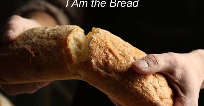 Rev. Marypatriece Wendt