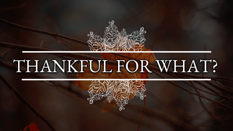 Thankful for what?