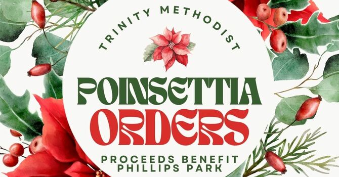 2025 Poinsettias image