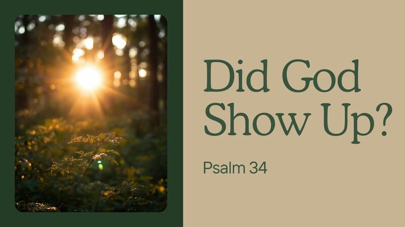 Did God Show Up?
